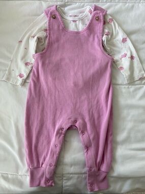 Burts Bees Baby- girls turtle onesie and pink overalls